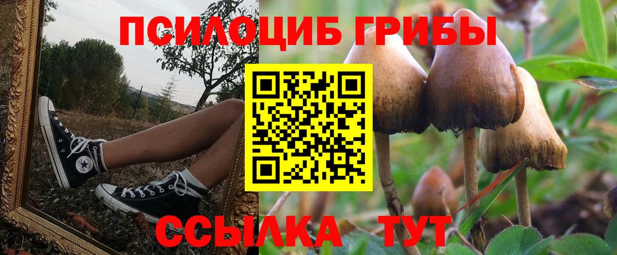Белорецк  Галлюциногенные грибы Cubensis  Вход с VPN  Галлюциногенные грибы мицелий 